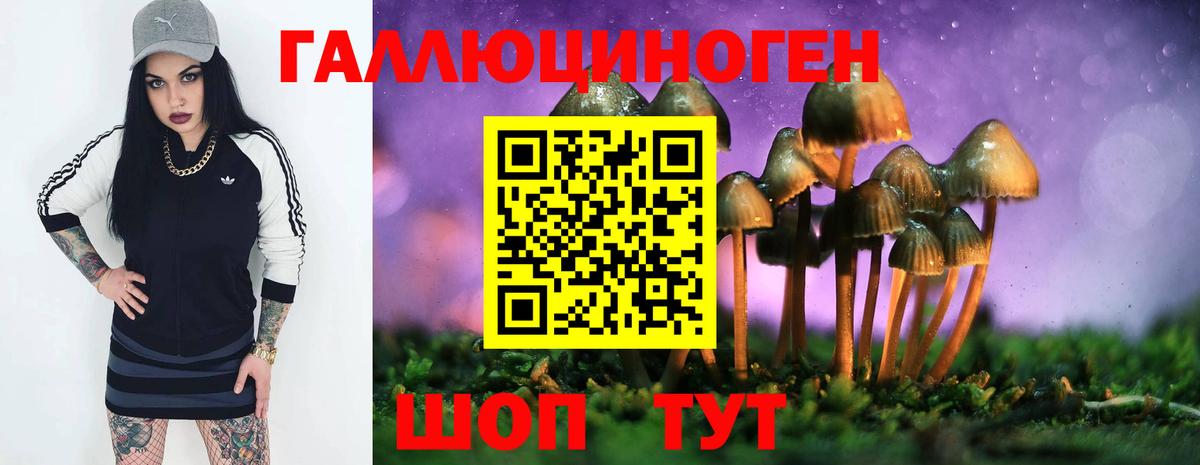 Галлюциногенные грибы прущие грибы  Вход с VPN  Северобайкальск  Галлюциногенные грибы MAGIC MUSHROOMS 